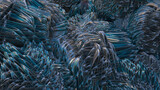 Fototapeta Psy - coral reef background