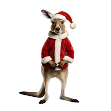 Kangaroo Wearing A Christmas Hat Isolated On Transparent Background