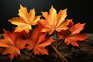 Wall Mural - Set of realistic maple leaves on a black wooden background. Autumn colorful leaves isolated yellow foliage leaf set.