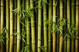 Fototapeta Sypialnia - Lush bamboo forest. This suggests the peaceful quiet of an untouched jungle. Generate Ai