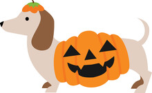 Halloween Dachshund, Halloween Dogs, Pumpkin Patch Costume