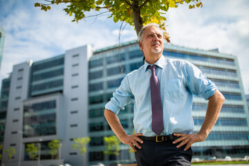 Canvas Print - Mature business man portrait outdoor under a tree in a modern city