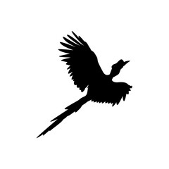 Flying Great Horn Bird Silhouette. Can use for Art Illustration, Logo Gram, Website, Pictogram or Graphic Design Element. Vector Illustration
