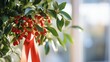 Sunlit mistletoe branch with red berries by the window. Blurry background. Christmas and New Year morning atmosphere. Design for holiday banners and wallpaper with copy space for text