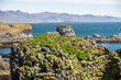 The cliffs between Arnarstapi and Hellnar in Snaefellsnes Snaefellsnes Regional Park Iceland, Europe