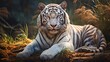 bengal white tiger.