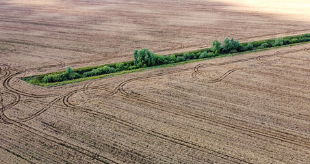 Wall Mural - An old irrigation canal overgrown with trees among a wheat field, aerial view. Dry irrigation canal in the field, landscape.