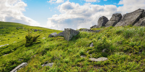 Wall Mural - mountainous landscape in summer. boulders and rock formations on the grassy hills. sunny forenoon wi