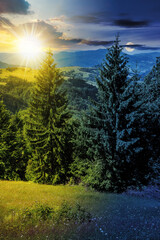 Wall Mural - slope of mountain range with coniferous forest with sun and moon at twilight. day and night time cha