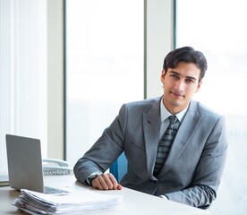 Wall Mural - Young successful businessman working at the office