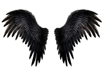 black wing