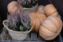 Pumpkins And Heather On A Wooden Stand