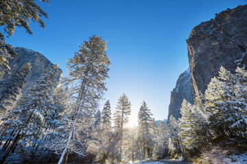 Wall Mural - Winter in Yosemite