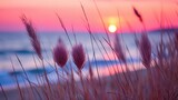 Fototapeta Zachód słońca - flowers focus sunset tranquility grace landscape zen harmony calmness unity harmony photography