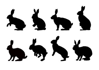 Wall Mural - Set of rabbit silhouettes - vector illustration