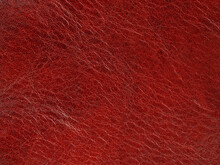 Texture Of Leather Surfaces Of Buffalo Leather Material For Sewing Bags And Clothes In Red
