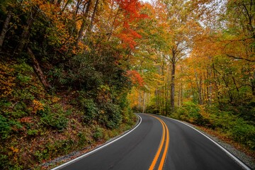 Poster - autumn road