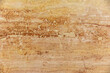 Yellow, Red and Gold Patterned Yellowstone Travertine Stone Wall Slab