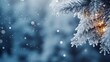 Background with winter snowy fir tree and snow. Winter banner concept with copy space