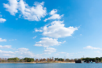 Wall Mural - low angle view of trees against blue sky