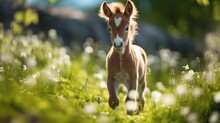 Cute Foal Walking Through The Meadow. Generative AI