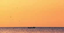 Golden Sunrise Over Sea Horizon And Sailing Fisherman Boat, Freedom Flying Birds Doves And Seagulls