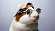 © PixelArtWork - Stilvolle Meerschweinchen erobern die Modewelt: Ein Trendsetter unter den Tieren präsentiert exklusive Sonnenbrillenkollektion
