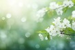 Green spring bokeh with white flowers and branches. Generative AI