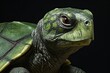 Turtle Green Color: Slow-Paced Reptile Texture - Captivating Image