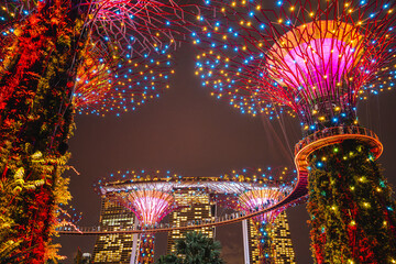 Wall Mural - Singapore, Gardens by the Bay