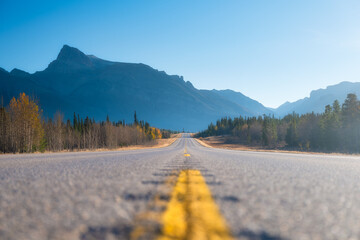 Wall Mural - an empty road and mountains. a place to travel by car. natural mountain landscape in the mountains. 
