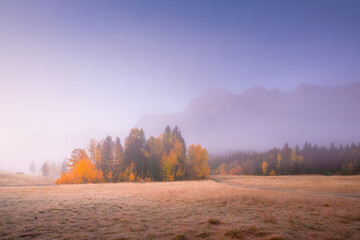 Wall Mural - mountain landscape at dawn. fog in a valley. field and forest in a mountain valley at dawn. natural 