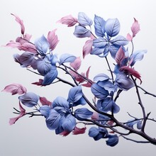 Purple Nature Decoration Blue ,Hd, On White Background