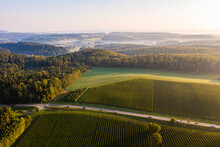 Germany, Baden-Wurttemberg, Aerial View Of Country Road And Surrounding Vineyards At Sunrise
