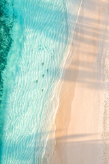 Canvas Print - Amazing aerial top view of exotic beach. sunlight palm shadows. Reef sharks hunting in shallow sea school of fish. Tropical island paradise. Stunning sunny beach scenery, relaxing peaceful and inspire