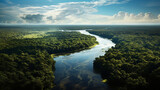 Fototapeta Na ścianę - River in the jungle seen from above. Nearby Manaus