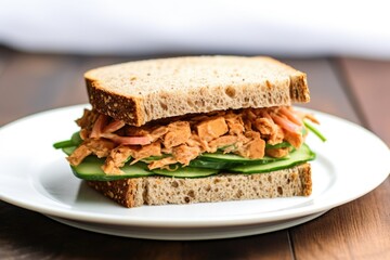 Poster - close-up of a tempeh sandwich on a white plate