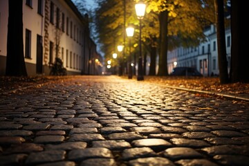 Canvas Print - light from a street lamp illuminating a cobblestone path