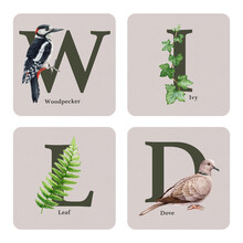 Wild Nature Sign With Nature Elements. Watercolor Illustration. Wildlife Nature Element Decoration. Decorative Sign From Letters With Woodpecker, Leaf, Dove, Ivy, Birds, Animals. White Background