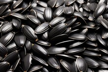 Sunflower Black Seeds In A Close Up Capture Isolated On A White Background