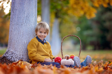 Poster - Cute blond child, boy, playing with knitted toys in the park, autumntime