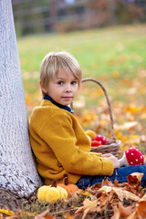 Canvas Print - Cute blond child, boy, playing with knitted toys in the park, autumntime