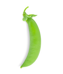 Wall Mural - Fresh green pea pod isolated on white background