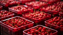 Crates Of Bright Red Cherries, Captured Up Close, Displaying Their Glossy And Tempting Appearance. 