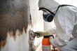 A professional technician in protective gear working to remove mold from a home. Generative Ai