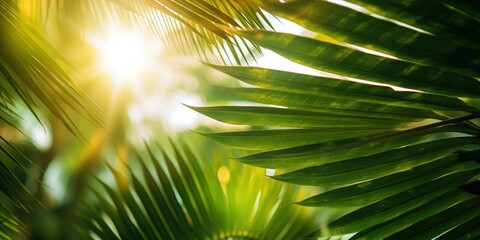 Sunny day, Close up of tropical palms leaves, Sun over green palm leaves, Travel card, generative ai