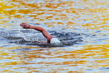 Swimmer In A Triathlon Race In The Catawba River, Charlotte, North Carolina