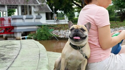Wall Mural - Dog panting leaning on woman nearby the pond.