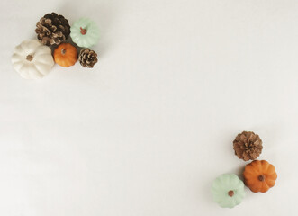 Sticker - Modern fall flat lay with pumpkins on white background with copy space for thanksgiving in minimal style.