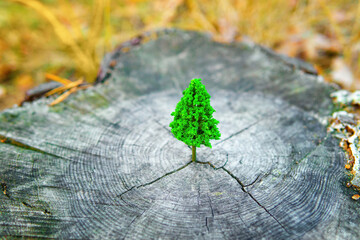 Wall Mural - Miniature Green Tree on a Forest Stump